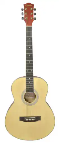 Gitara Akustyczna - Chateau F110E Natural