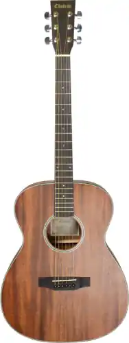 Gitara Akustyczna - Chateau F140