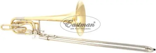 Eastman EBP 601 Puzon basowy