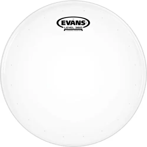 Evans 13" ST