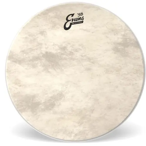 Evans 20" EQ4 Calftone Naciąg, Membrana