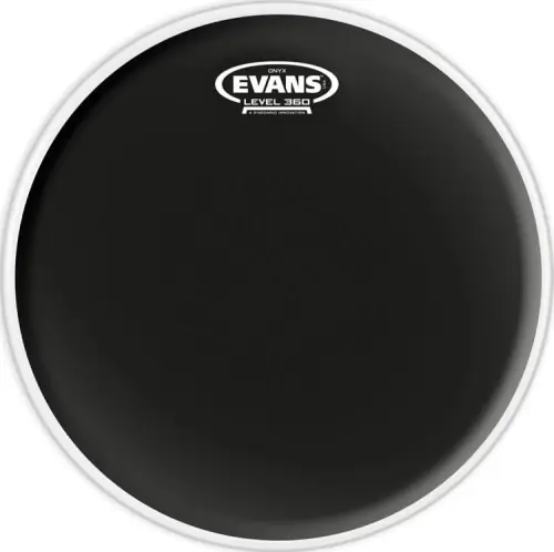 Evans 16" Onyx