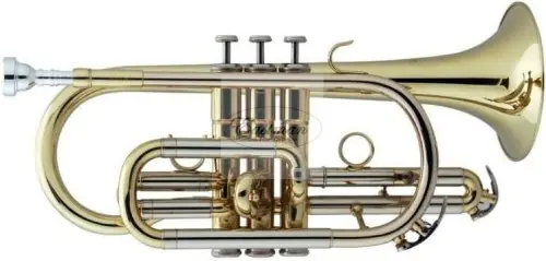 Kornet - Eastman ECR 501