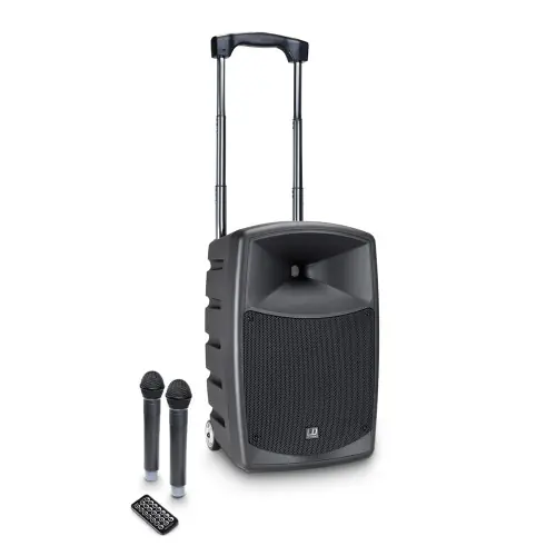 LD Systems RoadBuddy 10 HHD 2 B6