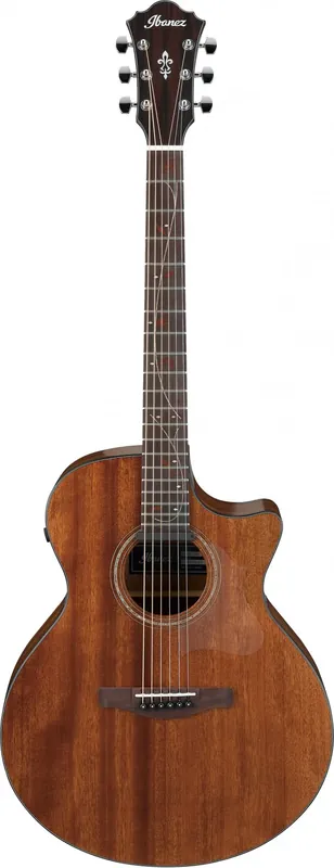 Ibanez AE295 LGS - gitara elektroakustyczna