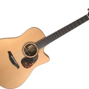 Furch Blue Dc-CM a L.R. Baggs SPE – gitara elektroakustyczna