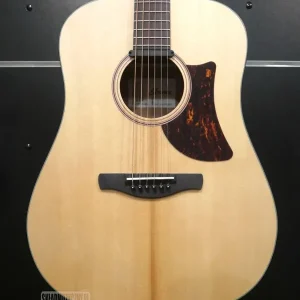 Ibanez AAD100E-OPN
