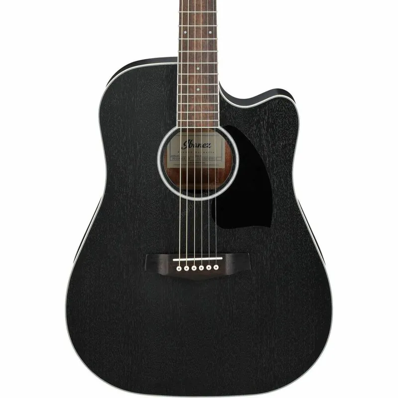 Ibanez PF16MWCE-WK