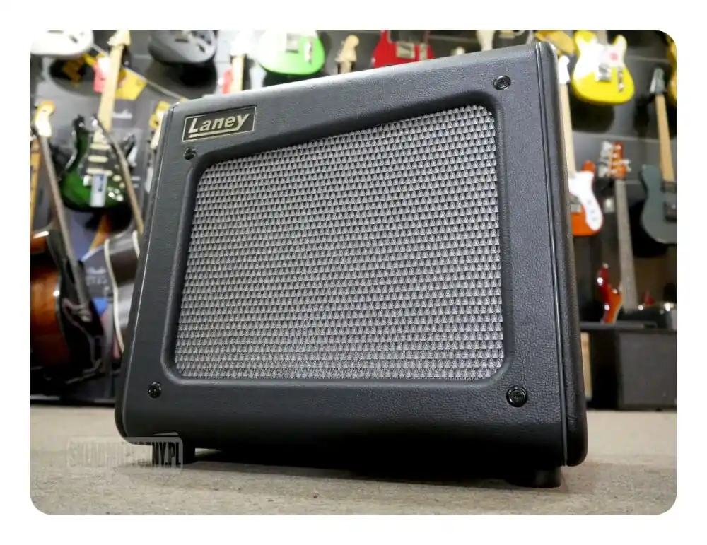 Laney CUB-SUPER 10