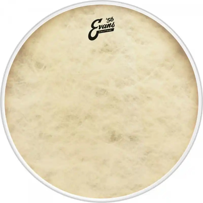 Evans BD18CT Calftone naciąg