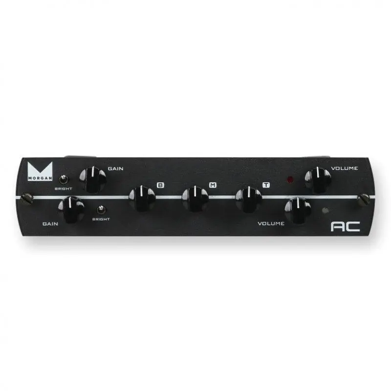 Synergy Morgan AC 2-CH pre-amp moduł przedwzmacniacza