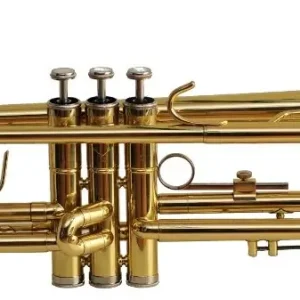 Ambra TR-100G trąbka złota